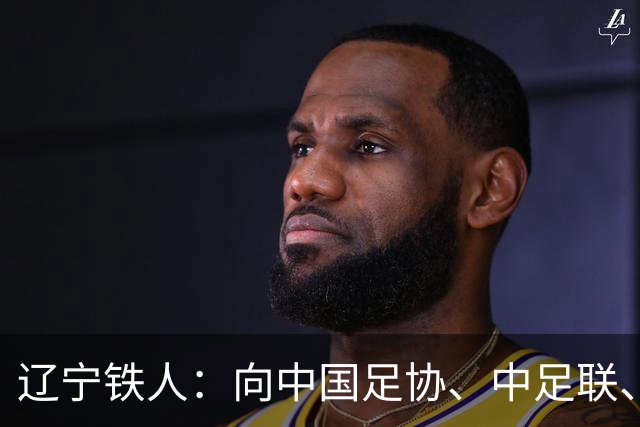 辽宁铁人：向中国足协、中足联、全体裁判员、广大球迷及社会各界致歉